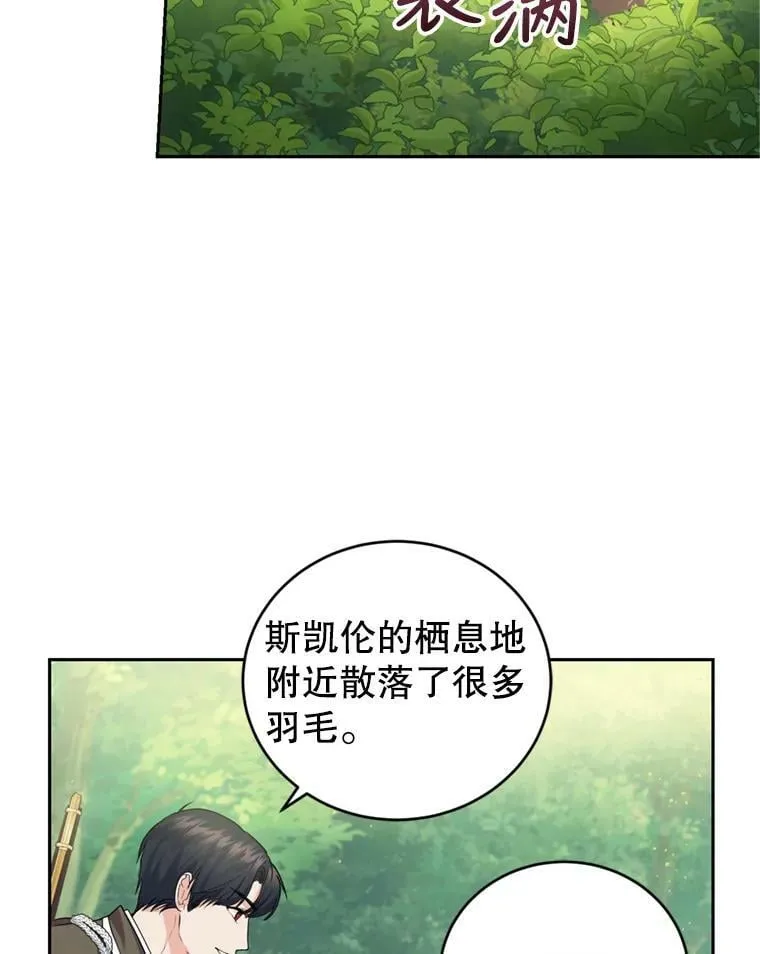 25.森林猎人 第6页