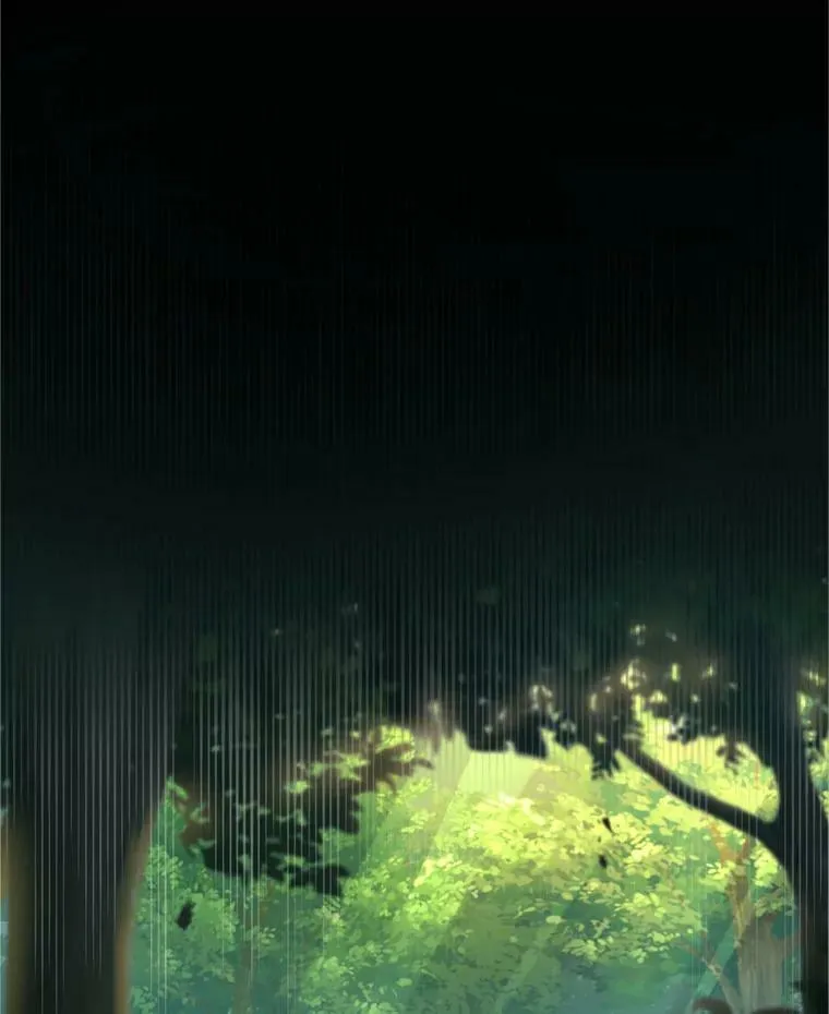 25.森林猎人 第74页