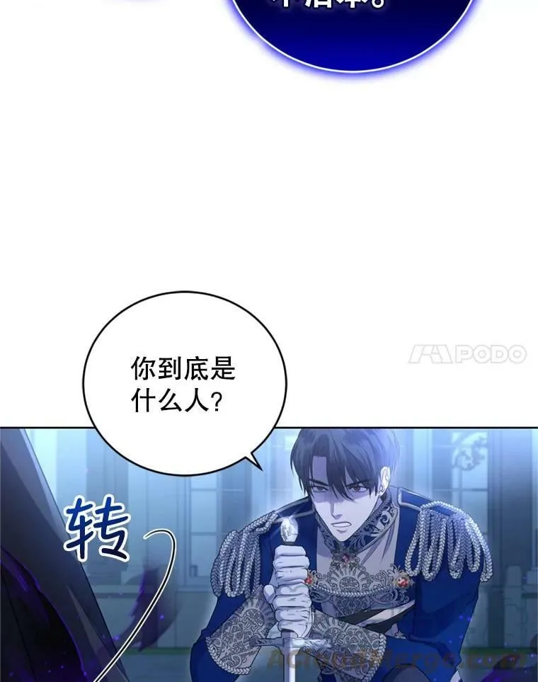 30.间谍 第93页