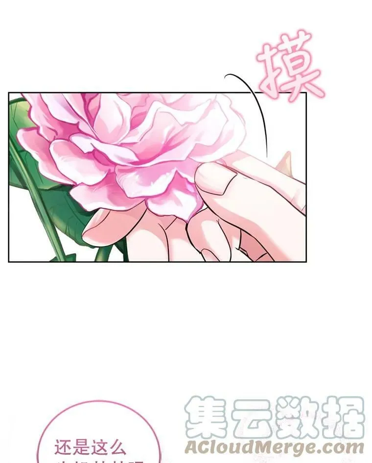 31.雷尔利乌斯 第5页