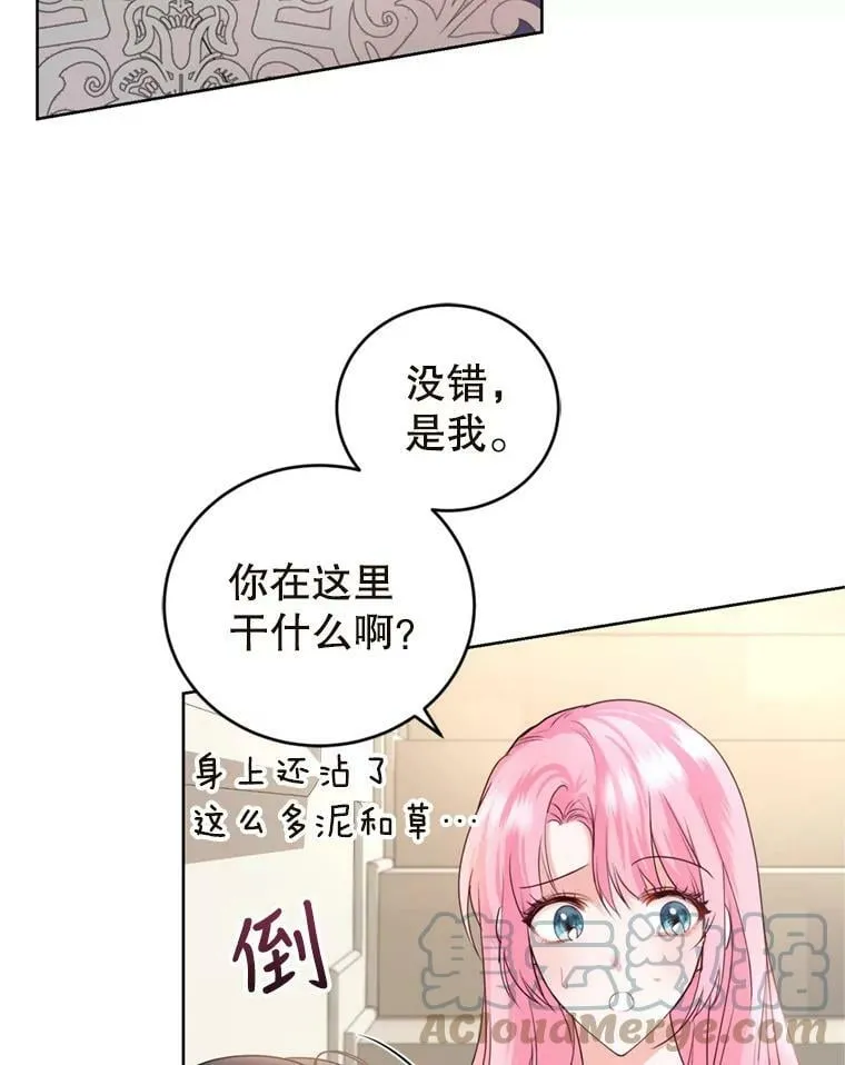 31.雷尔利乌斯 第17页