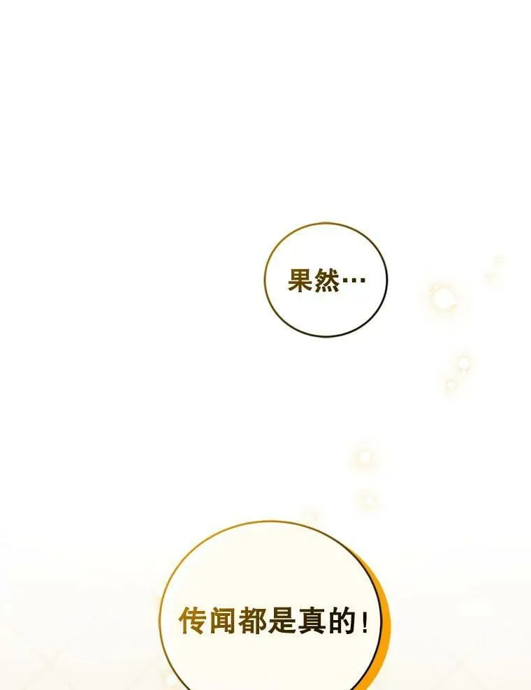 31.雷尔利乌斯 第34页