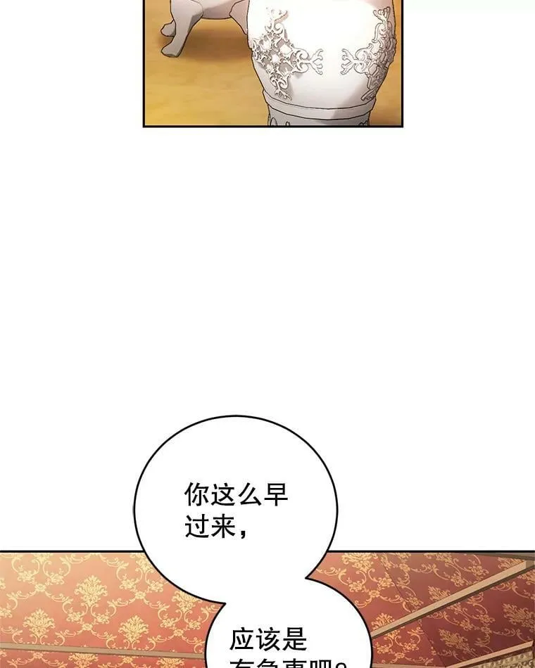 46.鸢尾花染料 第20页