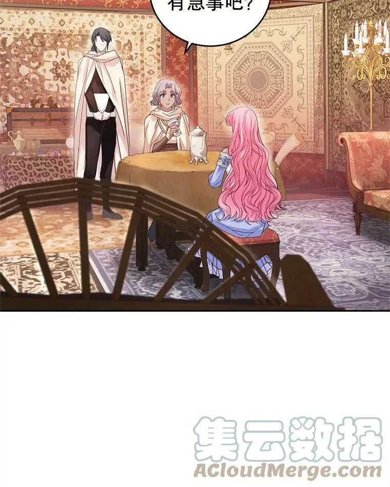46.鸢尾花染料 第21页