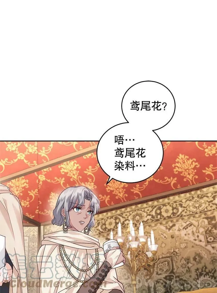 46.鸢尾花染料 第29页