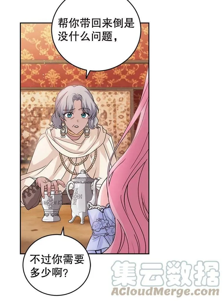 46.鸢尾花染料 第33页