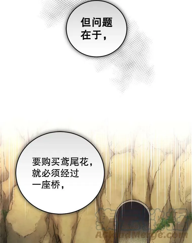 46.鸢尾花染料 第65页