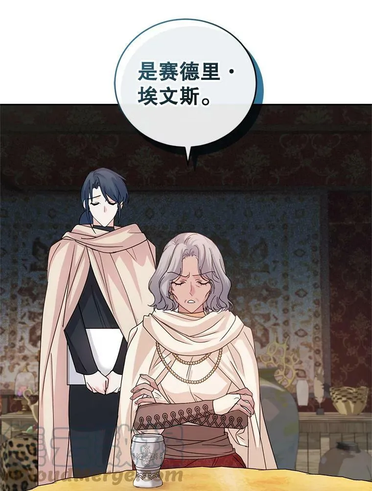 46.鸢尾花染料 第73页