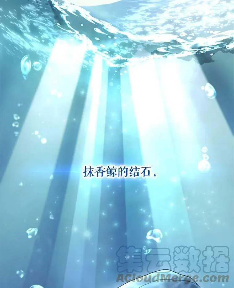 65.打赌 第61页