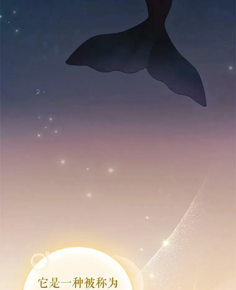 65.打赌 第63页