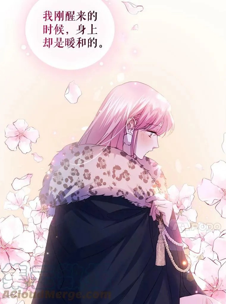75.极光妖精 第17页