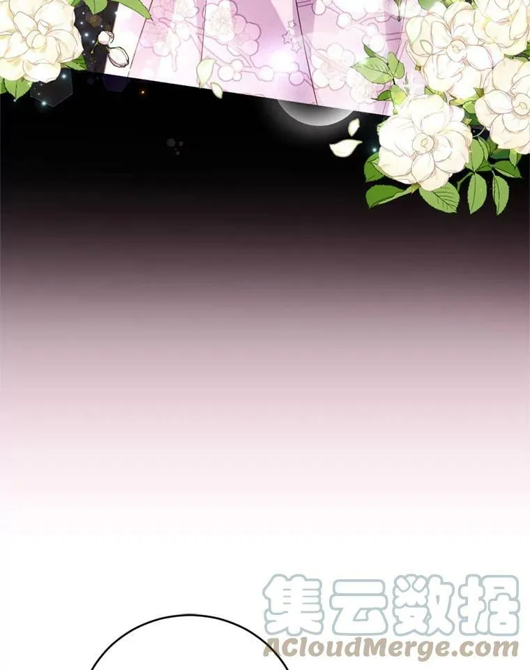 75.极光妖精 第25页