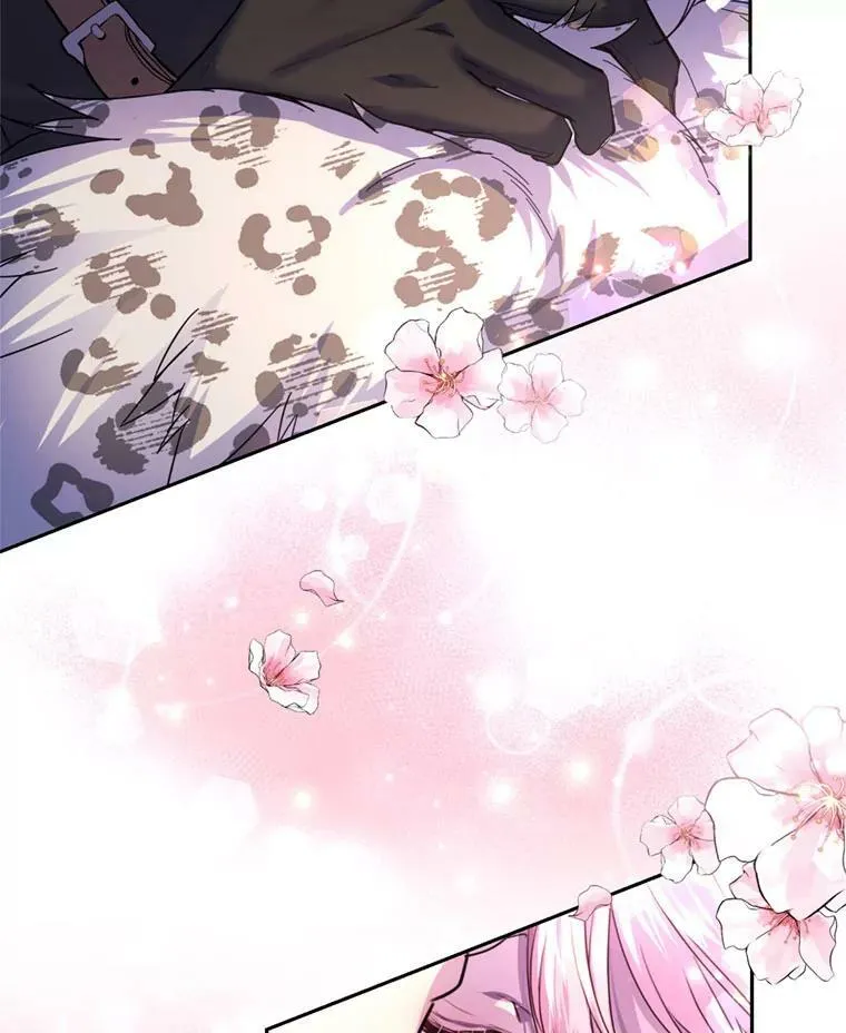 75.极光妖精 第55页