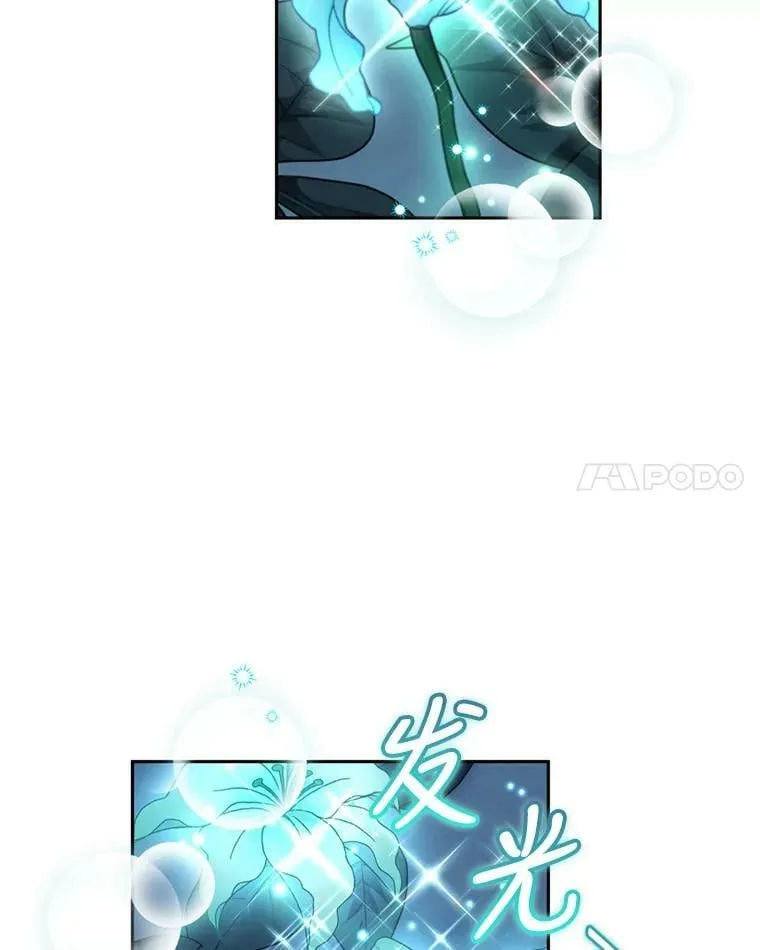 75.极光妖精 第72页