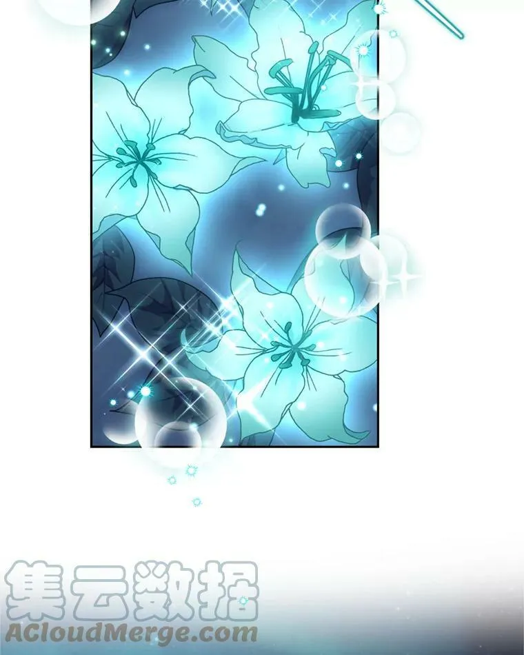 75.极光妖精 第73页