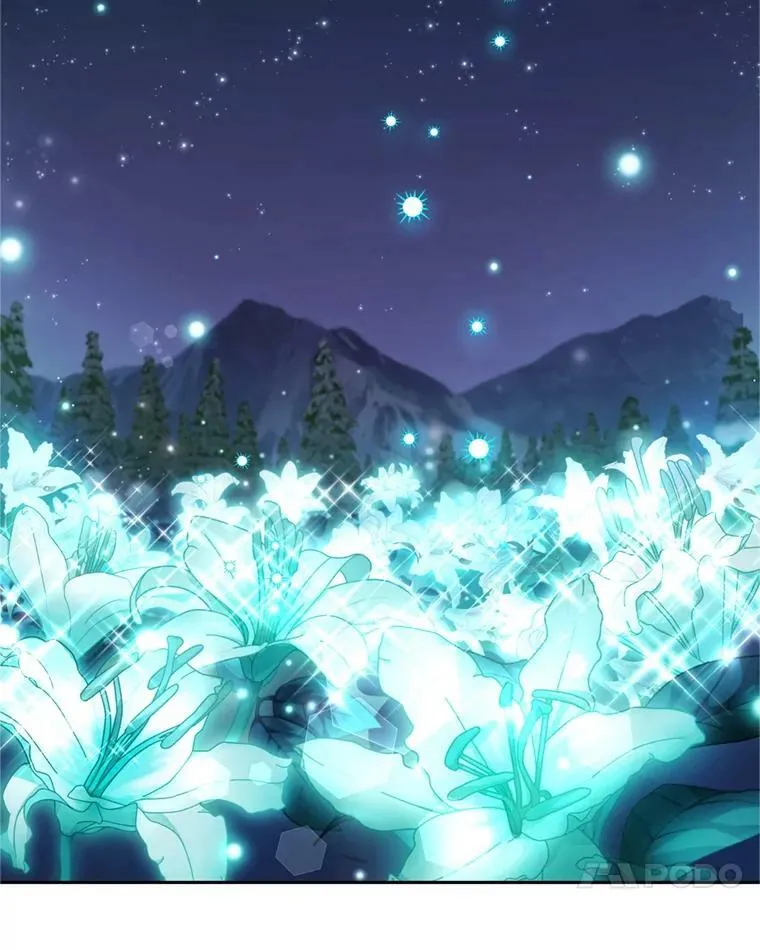 75.极光妖精 第75页