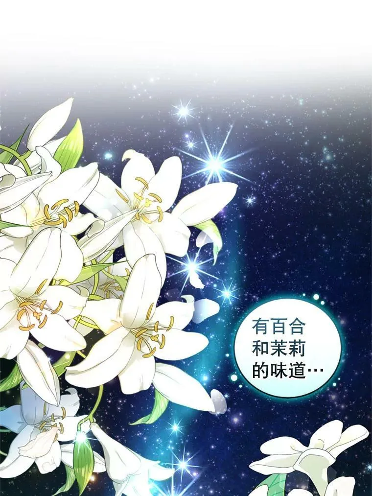 75.极光妖精 第78页