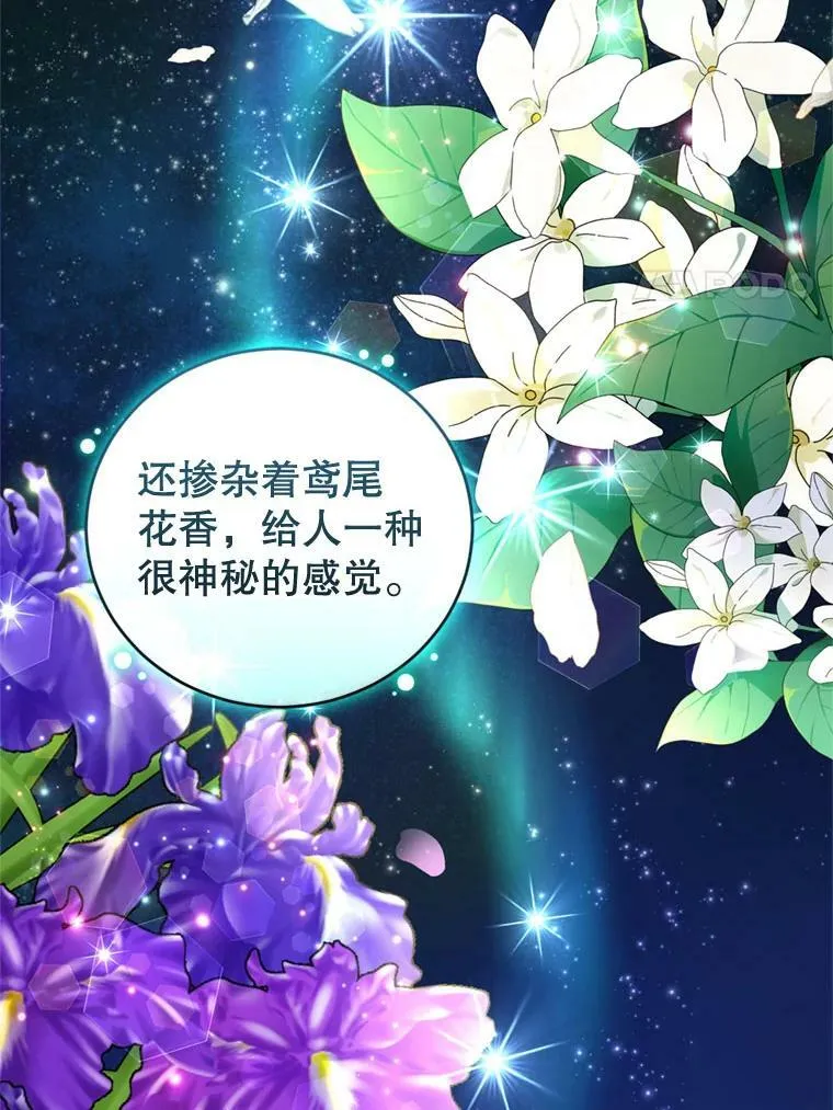 75.极光妖精 第79页