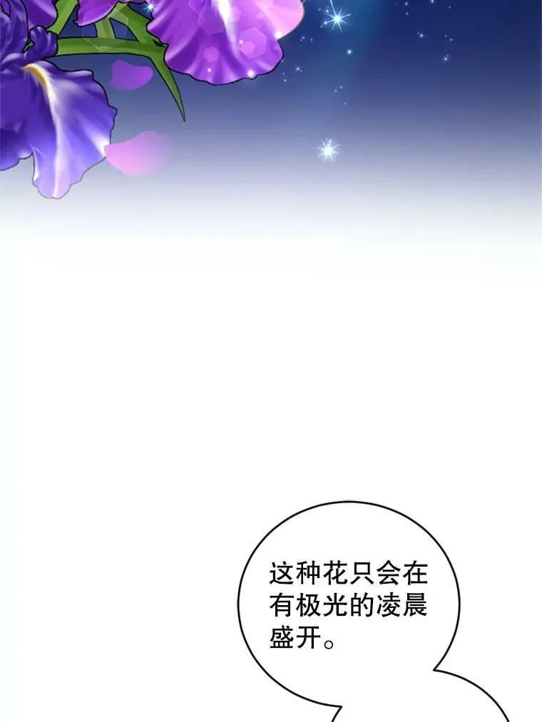 75.极光妖精 第80页
