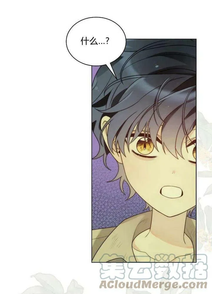 第25话 第52页