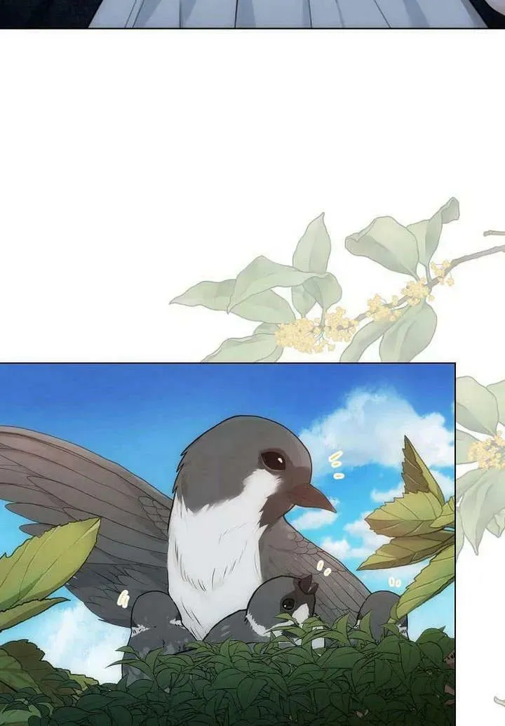 第54话 第64页