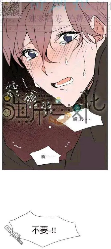 第38话 第47页