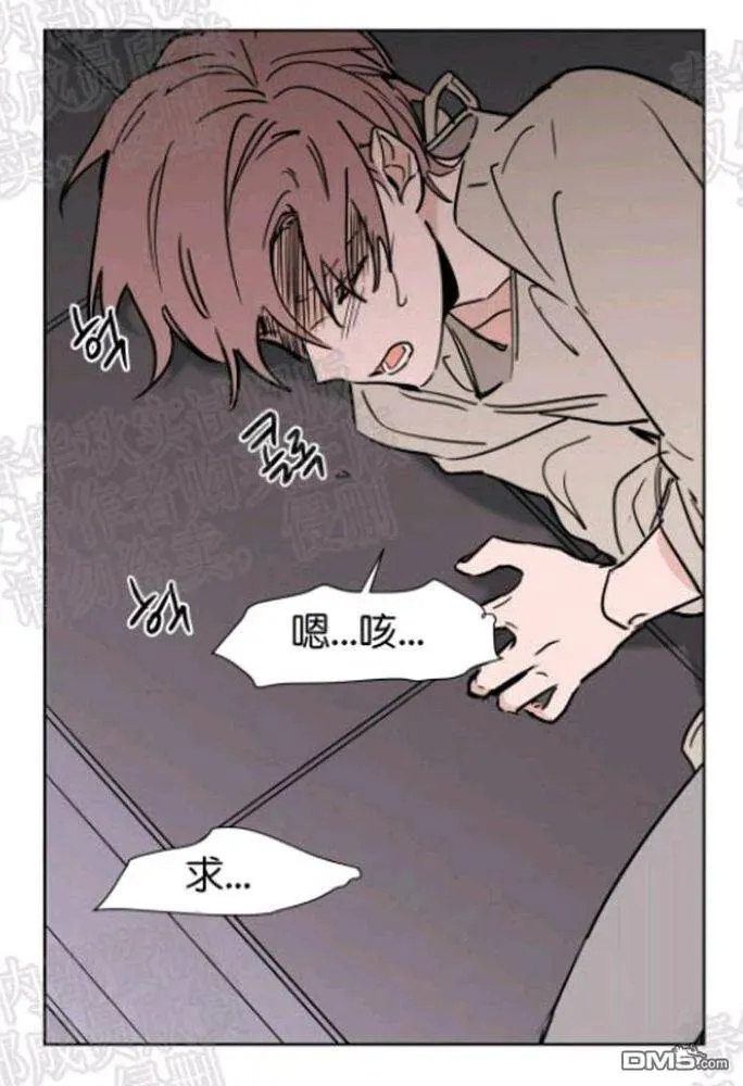 第42话 第28页