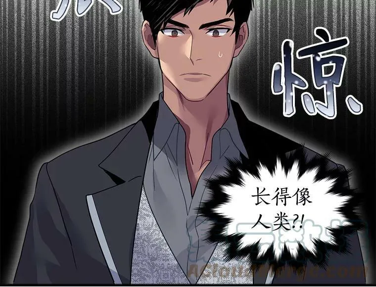11.森林、魔兽与结界 第10页