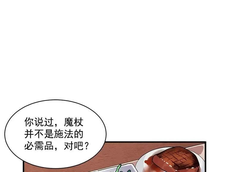 17.剑士与魔法师 第51页