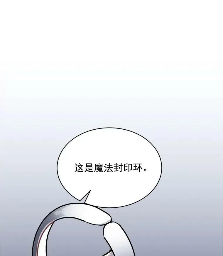 60.魔法封印环 第19页