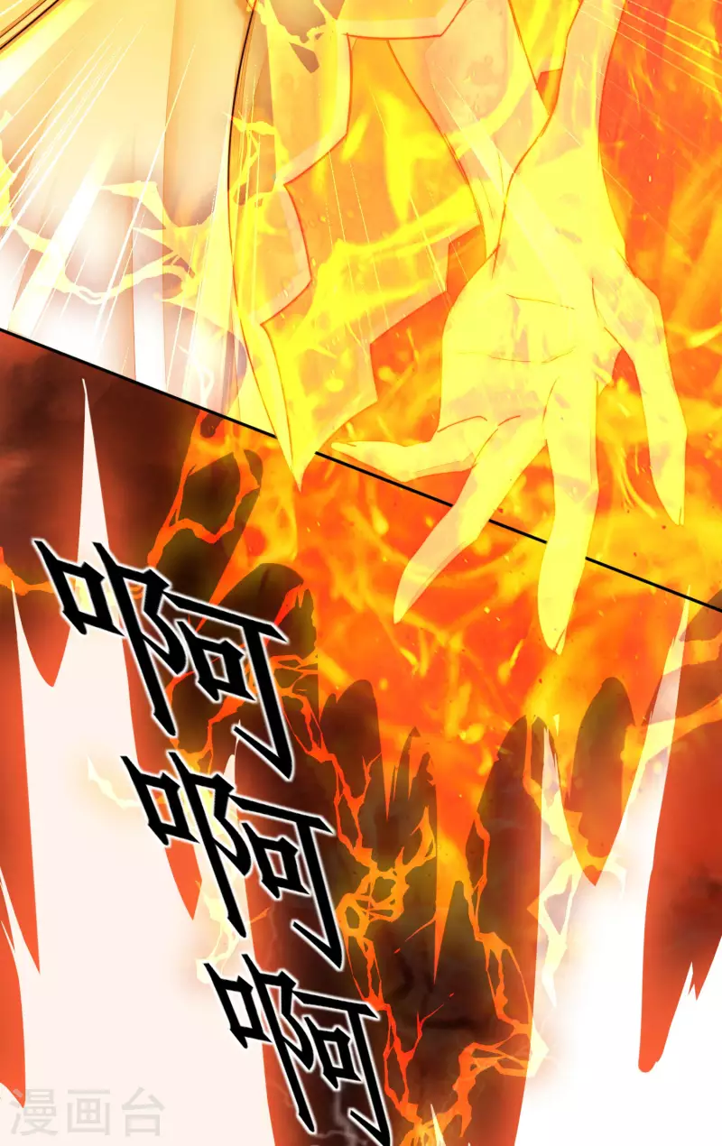 第264话 传承记忆 第17页