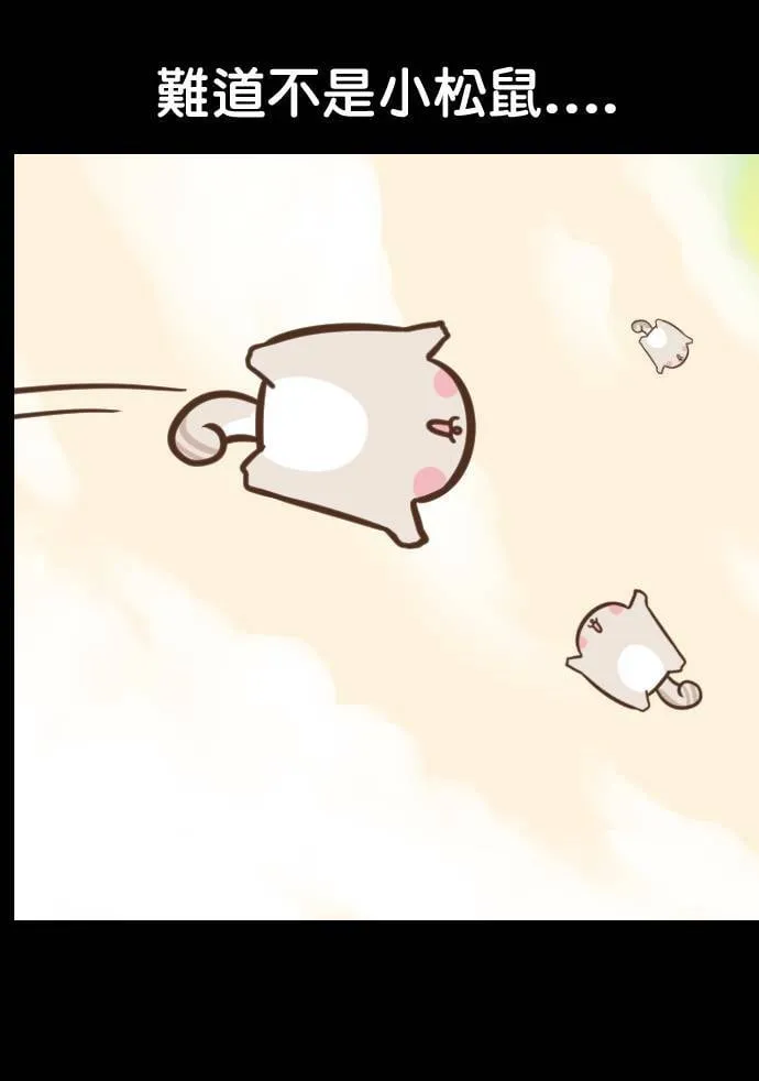 #5 故事正要开始 第13页