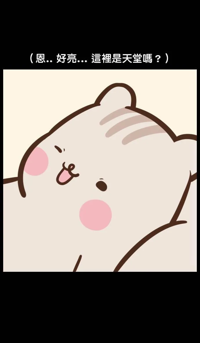 #6 蠢蠢的爱 第3页