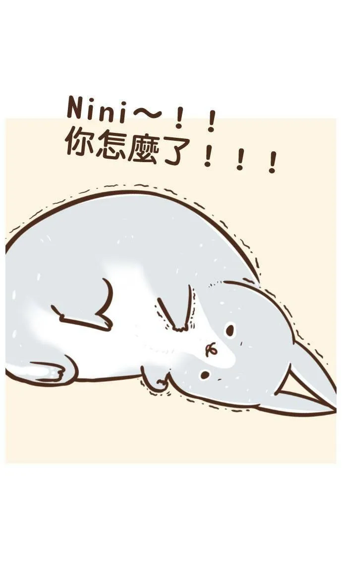 #13 尼尼生病了 第3页