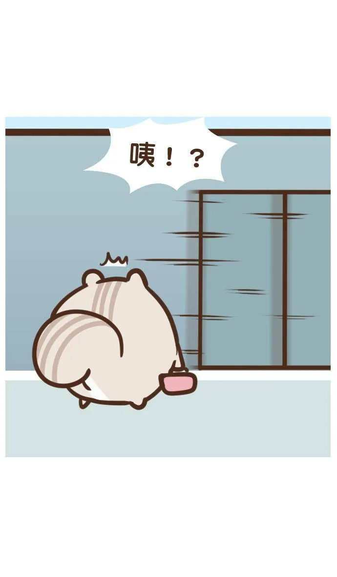 #21 超重？ 第11页