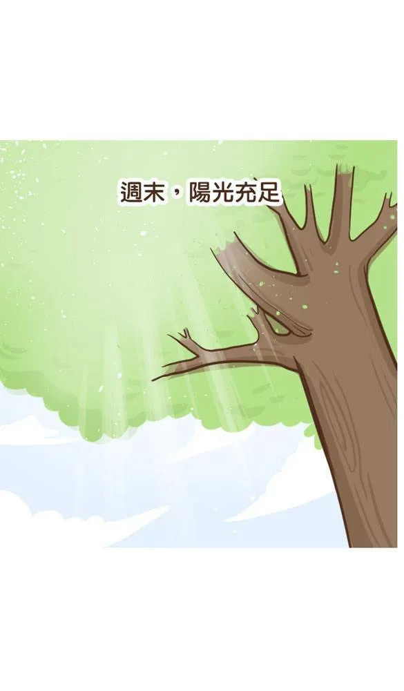 #26 下午茶 第1页