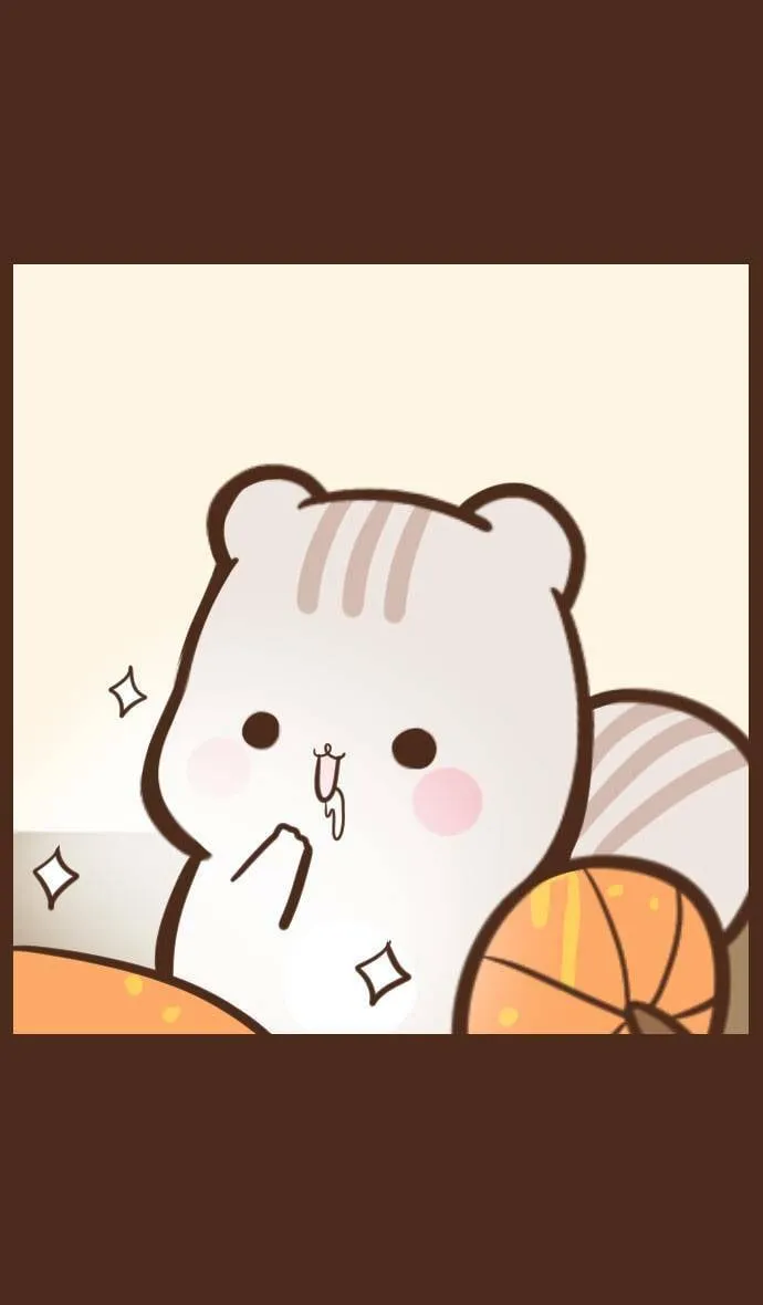 #52 南瓜 第5页