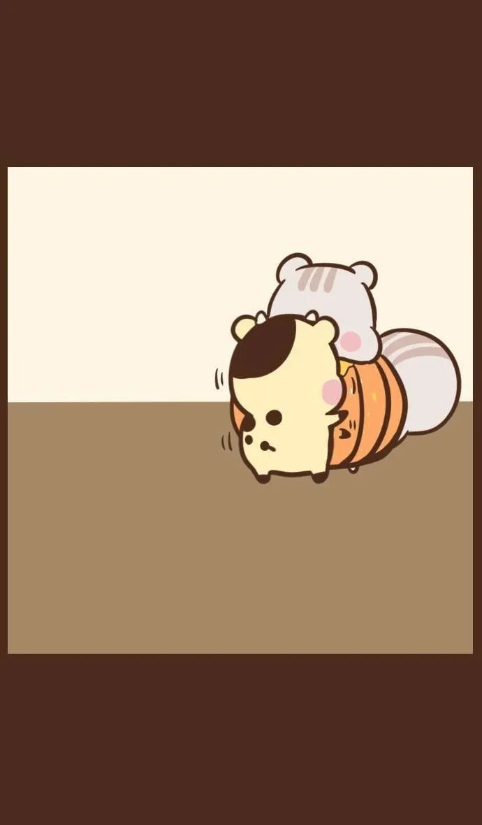 #52 南瓜 第11页