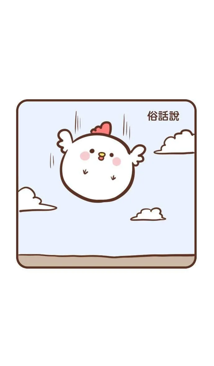 #77 鸡尼 第6页