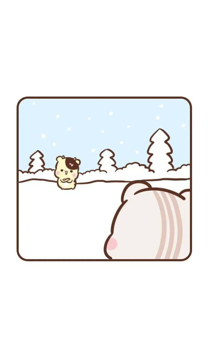 #78 贴心 第3页