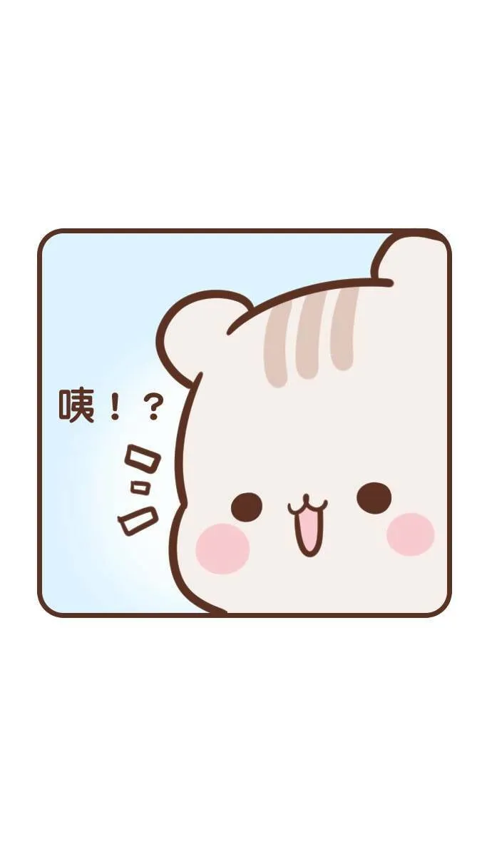 #78 贴心 第10页