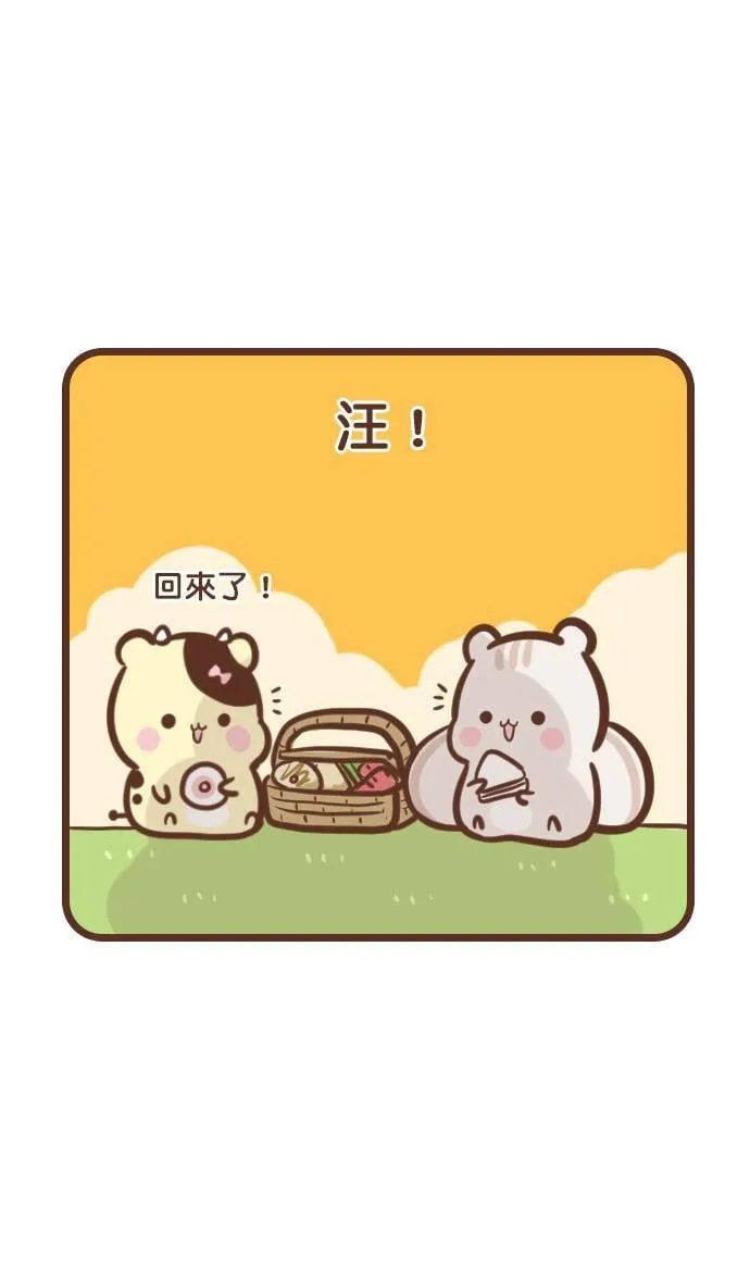 #79 飞盘 第15页
