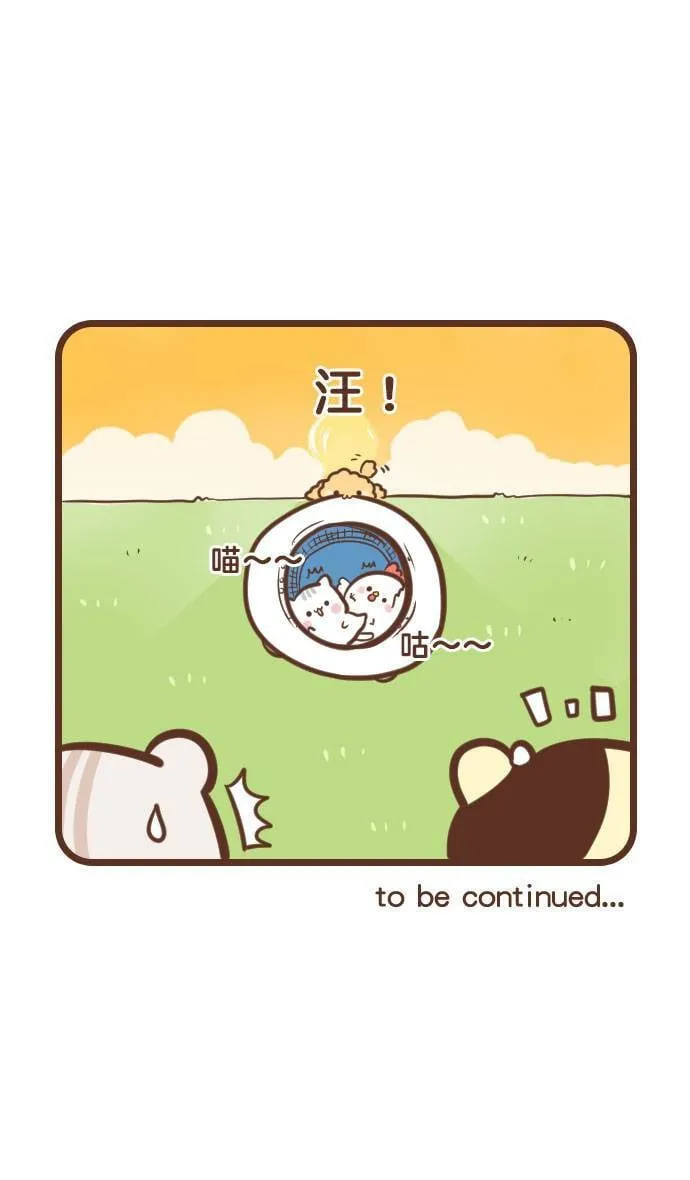 #79 飞盘 第16页
