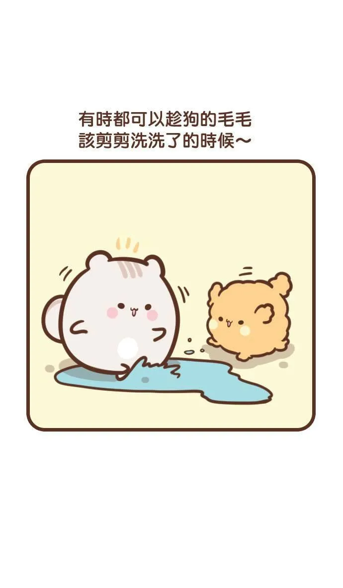 #86 理毛 第2页