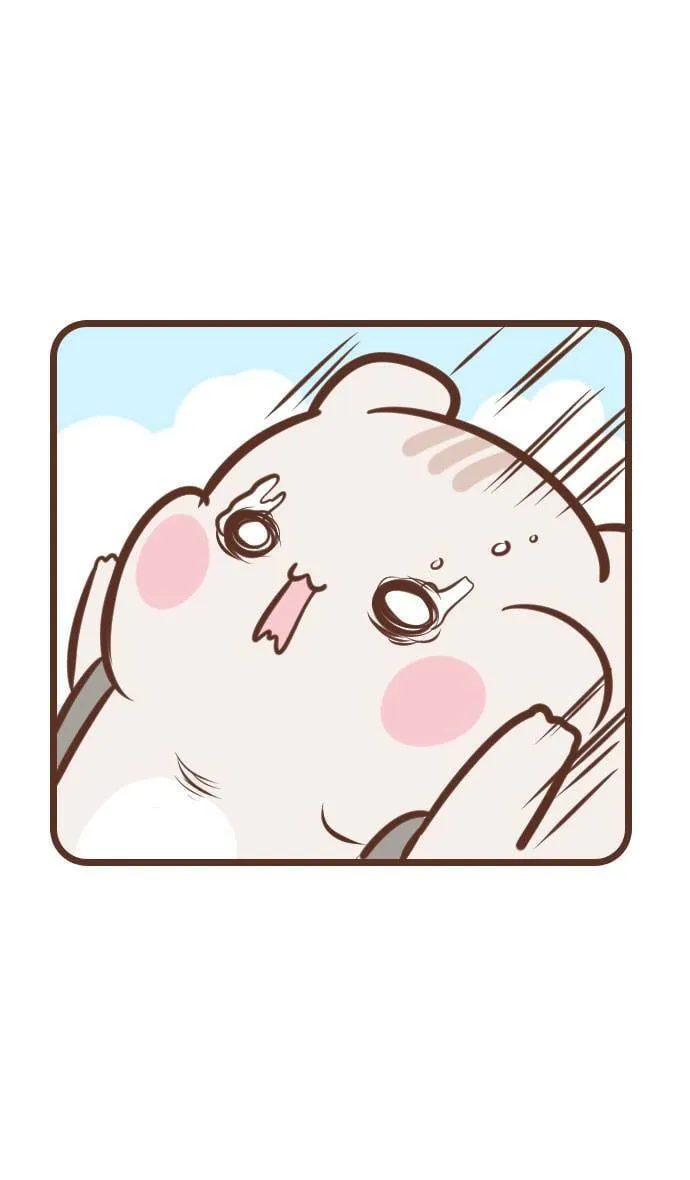 #99 滑水道 第14页