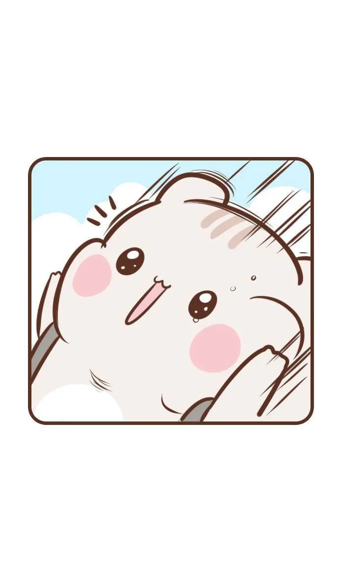 #99 滑水道 第15页