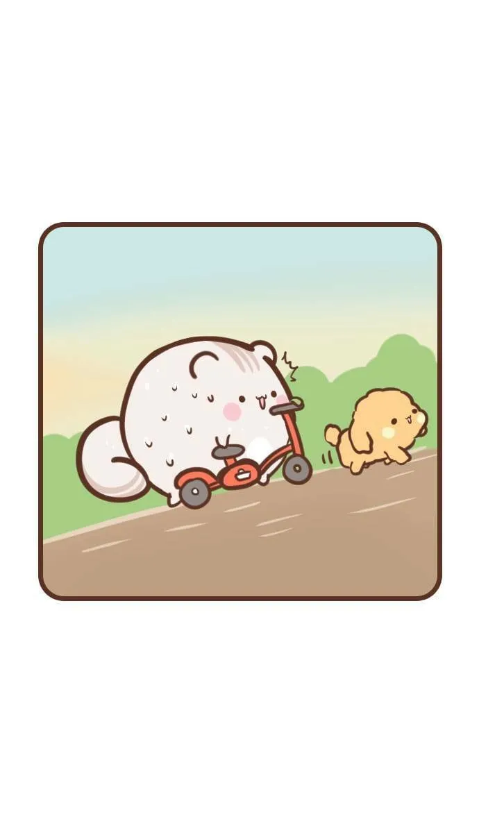 #103 脚踏车 第5页