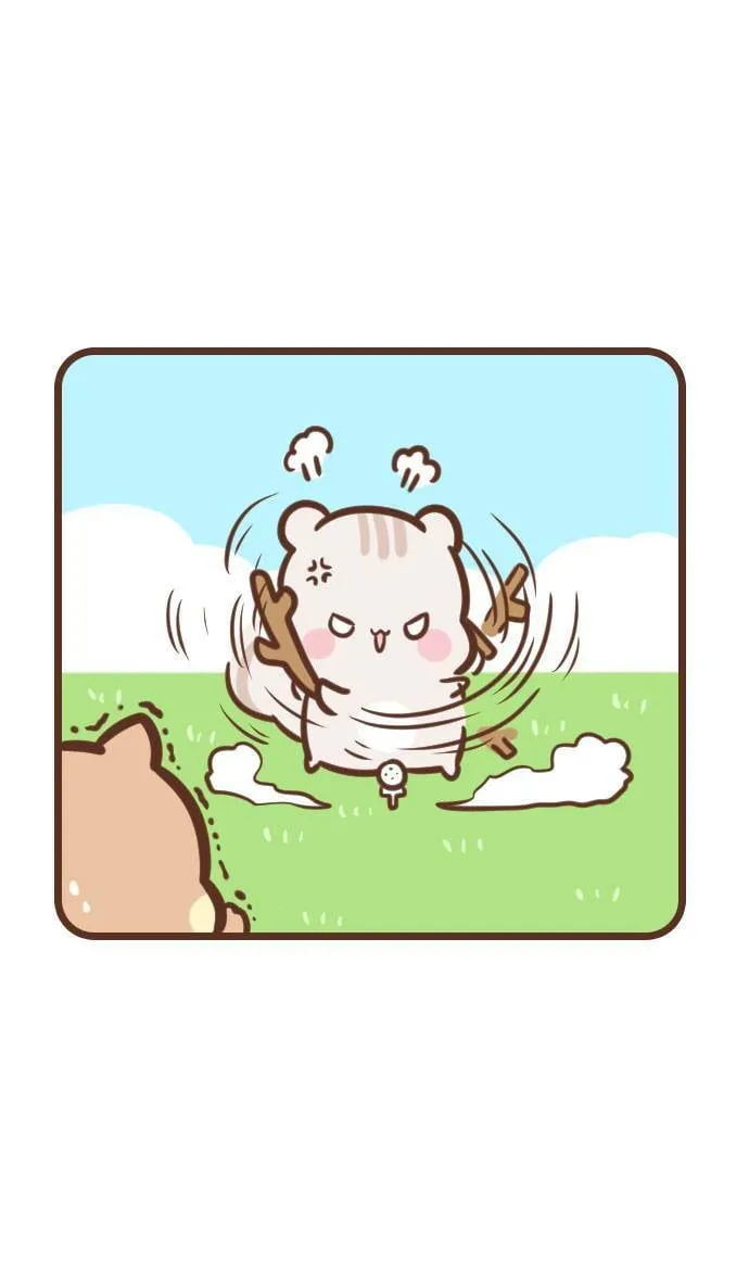 #109 高尔夫 第11页