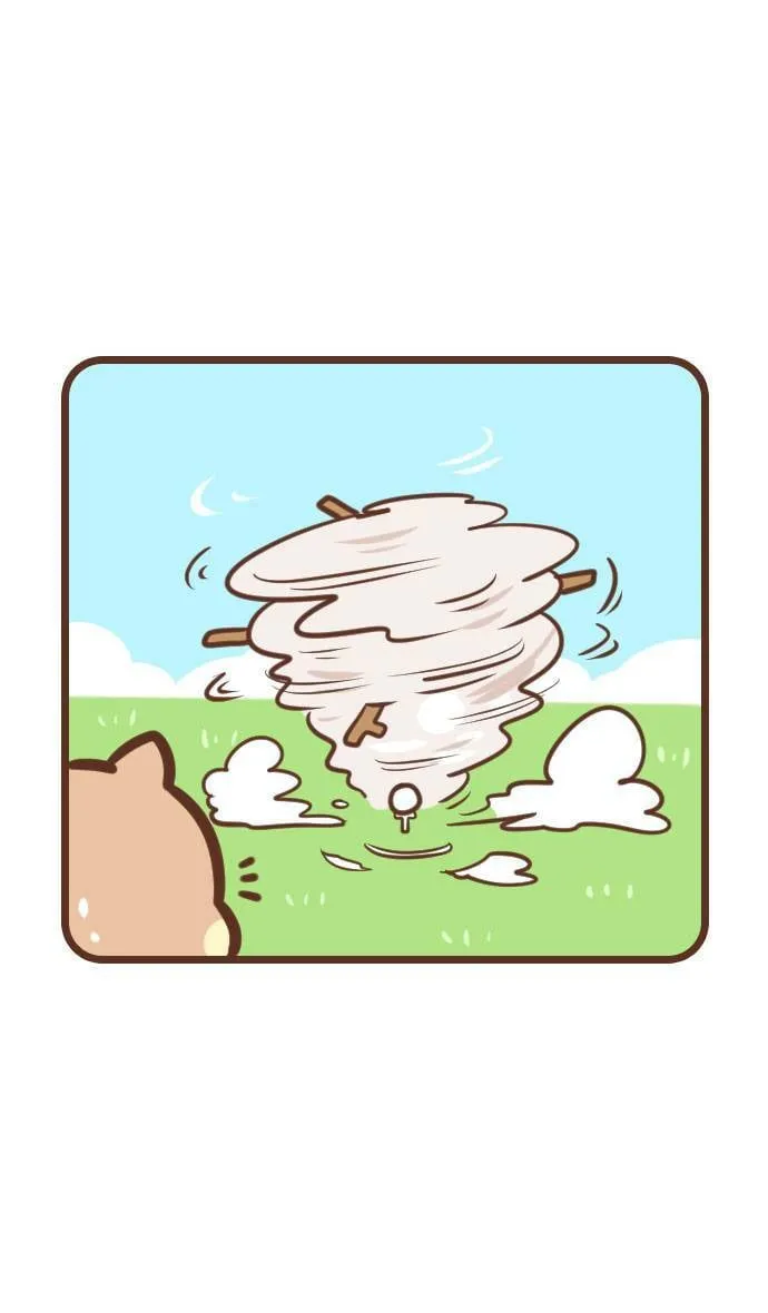 #109 高尔夫 第12页