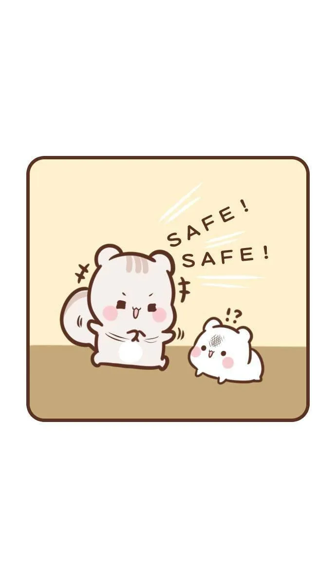#110 Safe 第7页